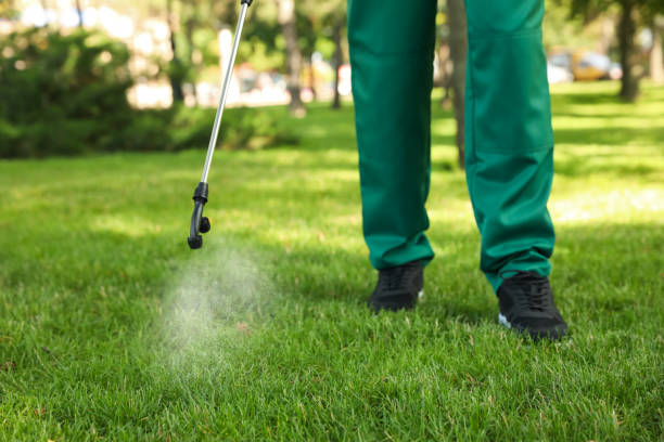 Best Exterminator Services  in Rockaway Beach, OR